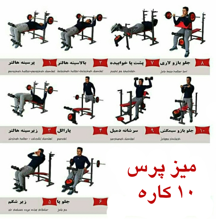 میز پرس بدنسازی تاشو وینر گروپ با حرکات اصلی و کلیدی