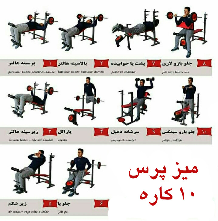 میز پرس بدنسازی تاشو وینر گروپ با حرکات اصلی و کلیدی