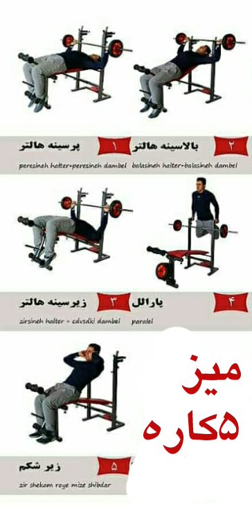 میز پرس پنج کاره خانگی تاشو وینرگروپ با حرکات کلیدی بدنسازی