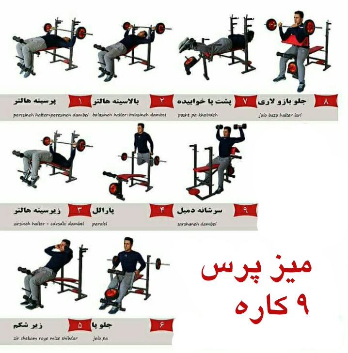 میز پرس بدنسازی تاشو وینر گروپ با حرکات زیر سینه