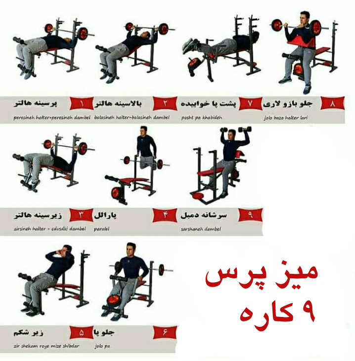 میز پرس بدنسازی تاشو وینر گروپ با حرکات زیر سینه