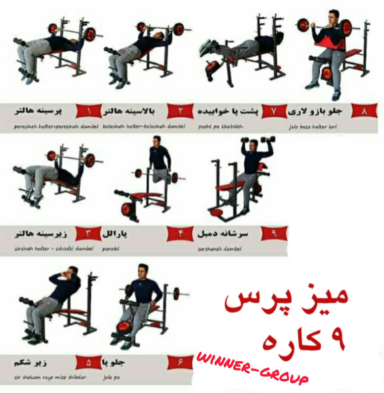 میز پرس بدنسازی تاشو وینر گروپ با حرکات پارالل