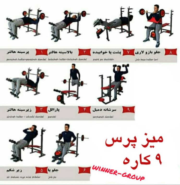 میز پرس بدنسازی تاشو وینر گروپ با حرکات پارالل