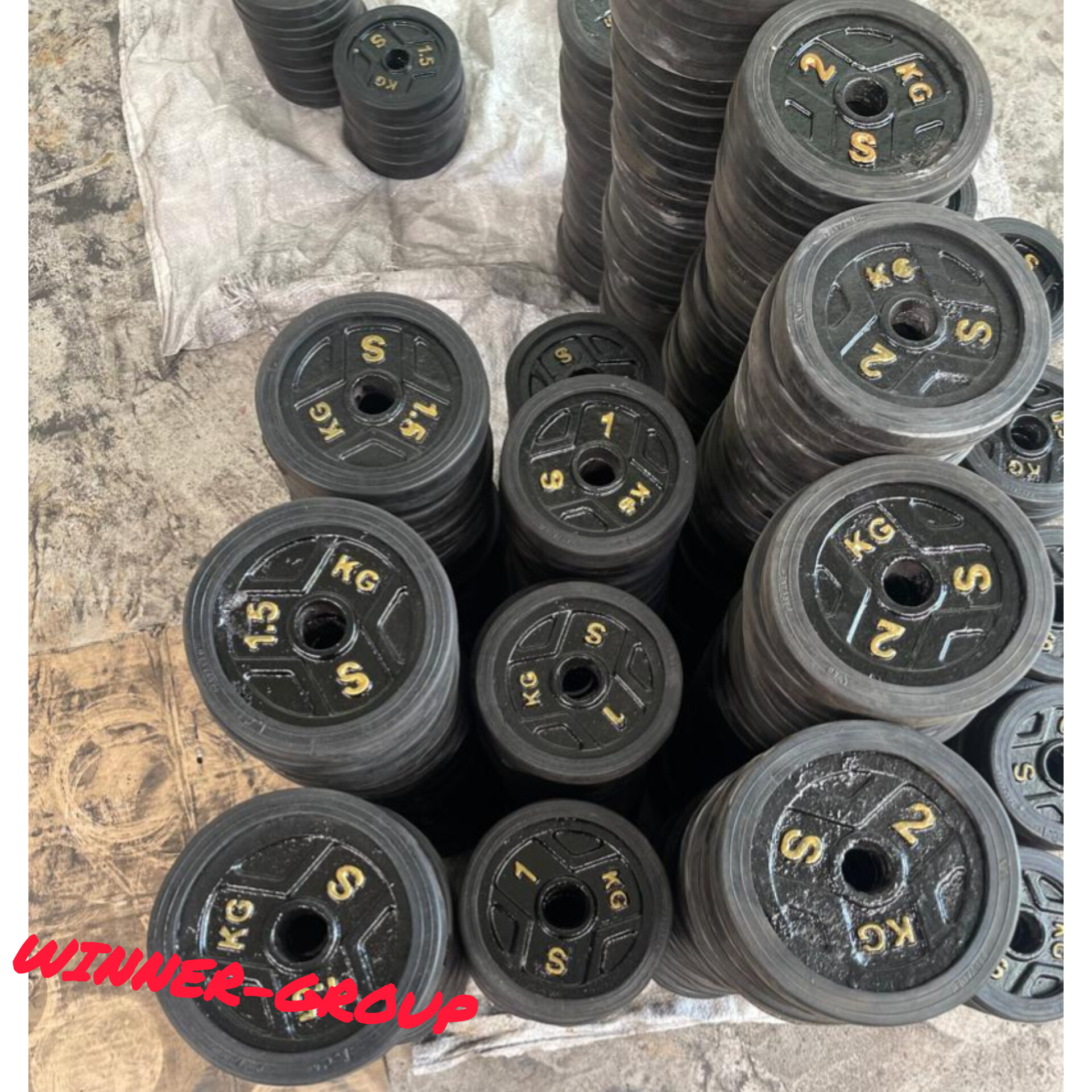 دیسک هالتر پوشش‌دار وینرگروپ چدنی