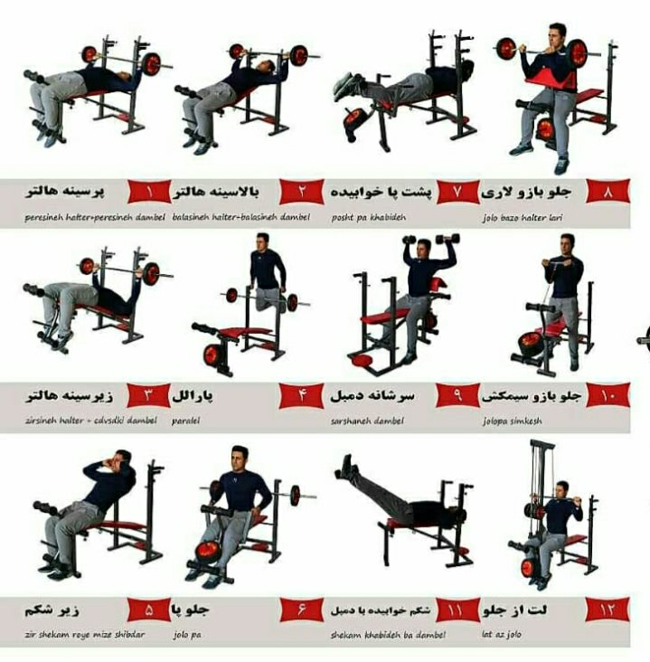 دستگاه پرس چند کاره خانگی وینرگروپ