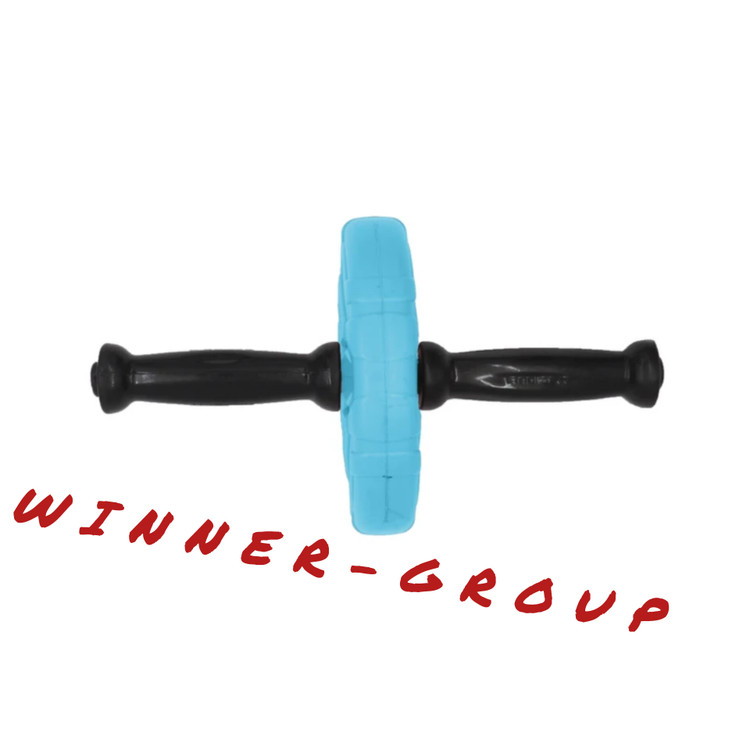 چرخ تمرین شکم تکچرخ وینرگروپ