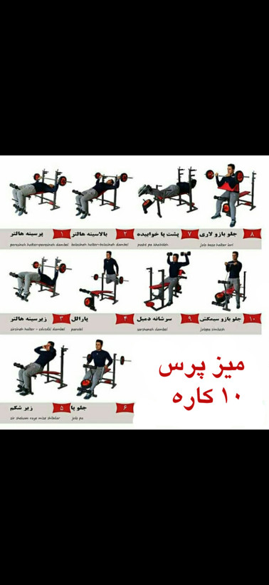 پکیج حرفه ای وینر گروپ